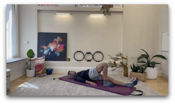 Themed mat: Pelvic exploration within...