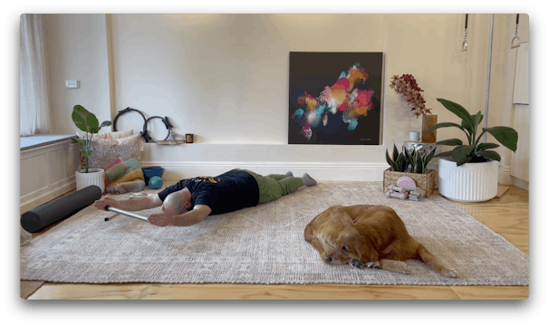 Classical Pilates Explained: Swan dive