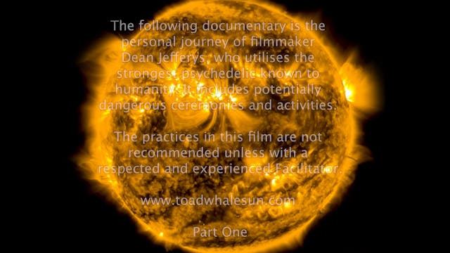 The Toad the Whale and the Sun. 5.1 Surround Sound