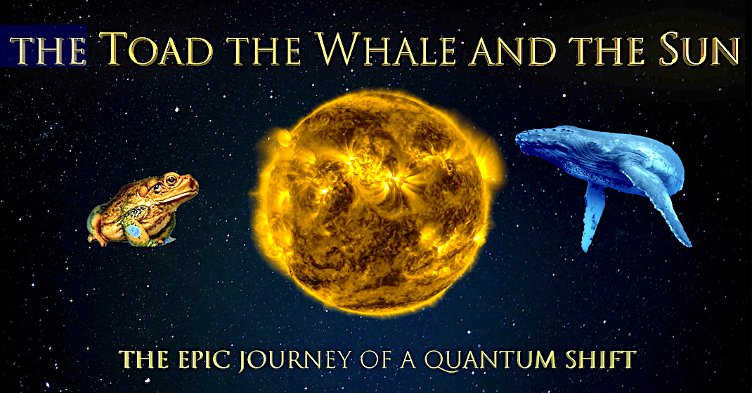 The Toad the Whale and the Sun Portuguese subtitle