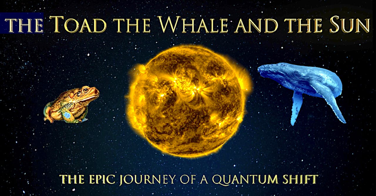 The Toad the Whale and the Sun Portuguese subtitle