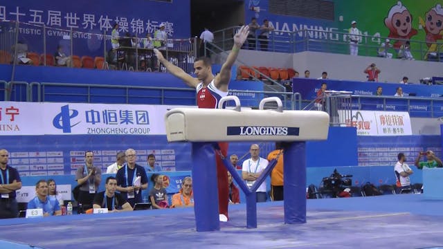 Danell Leyva - Pommel Horse - 2014 Wo...