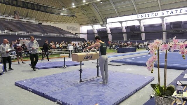 Christian Gulotta - Pommel Horse Fina...