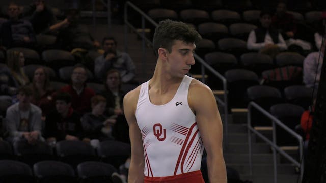Vitaliy  Guimaraes - Still Rings - 20...