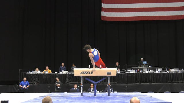 David Shamah - Pommel Horse - 2022 OO...