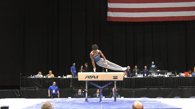 Pierce Wolfgang - Pommel Horse - 2022...