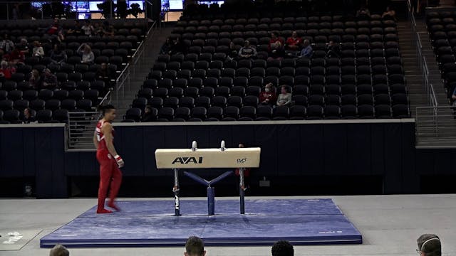 Raydel Gamboa - Pommel Horse - 2022 W...