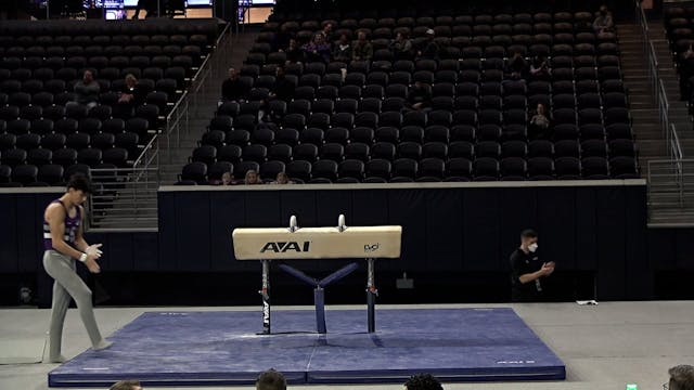 Diego Leautaud - Pommel Horse - 2022 ...