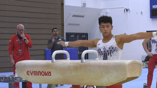 Yul Moldauer - Pommel Horse - 2022 Me...