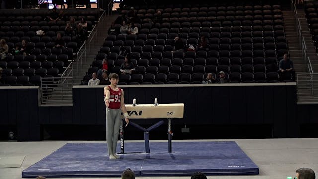 Gavin Zborowski - Pommel Horse - 2022...