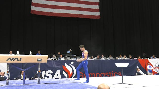 David Shamah - Pommel Horse - 2022 OO...