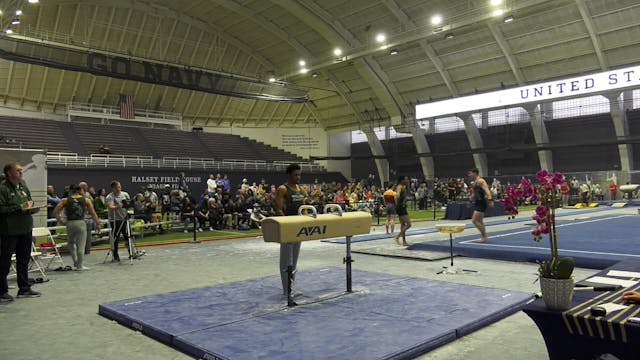 Malcolm-Allen Baytop - Pommel Horse -...