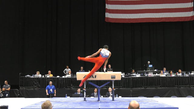 Kiran Mandava - Pommel Horse - 2022 O...