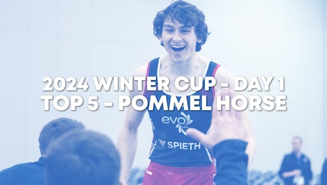 Top 5 Routines - Pommel Horse - Senio...