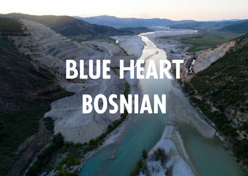 Blue Heart - Bosnian €50