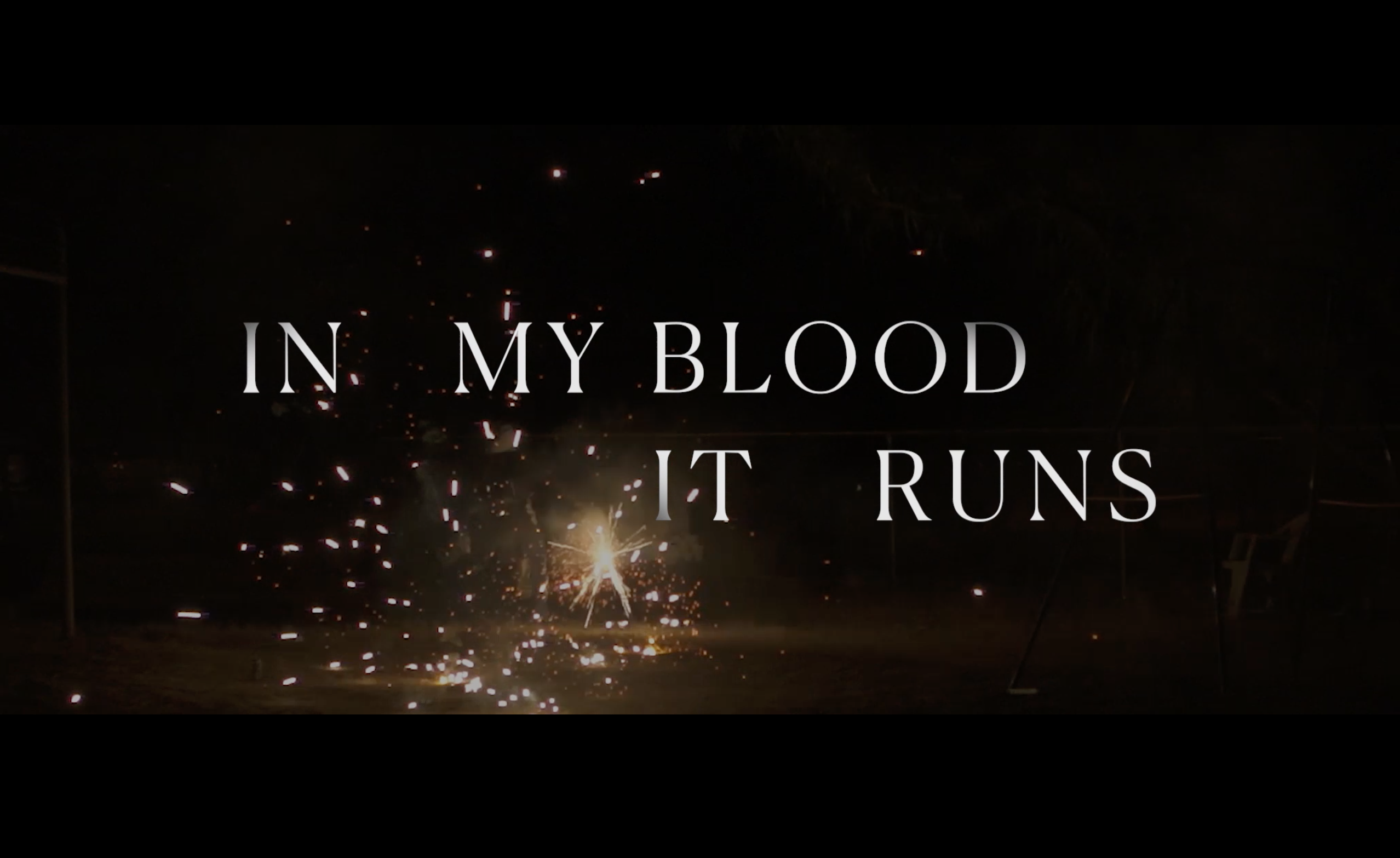 In My Blood It Runs