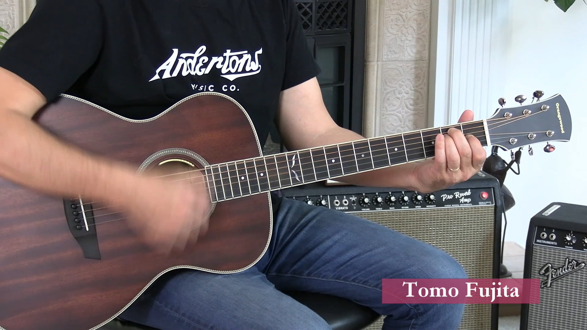 B6 Open Chords - E A Em Am - Strumming - Muting