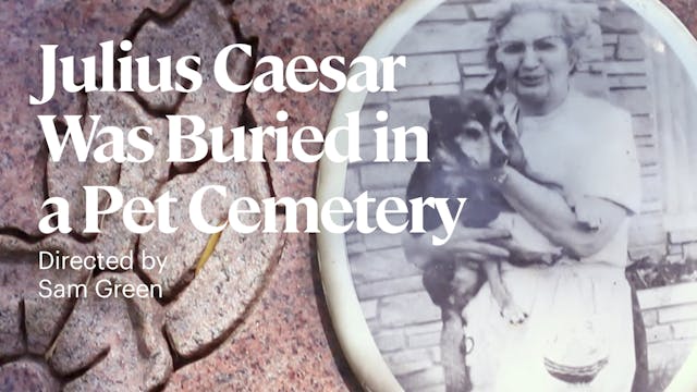 Julius Caesar Was Buried in a Pet Cemetery