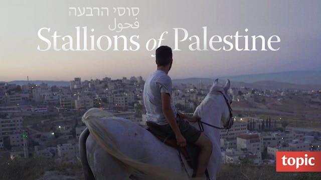 Stallions of Palestine