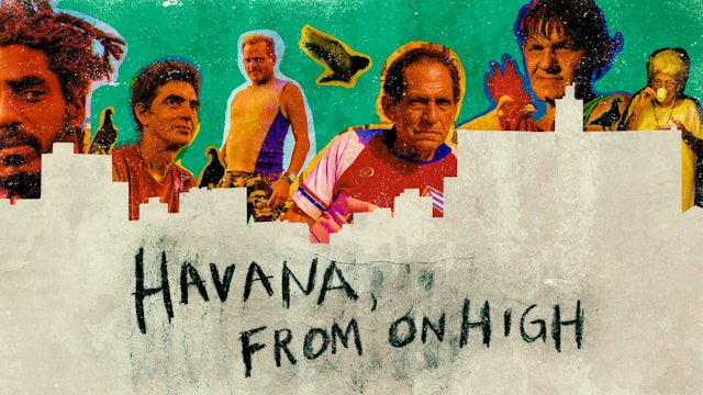 Havana, from on High