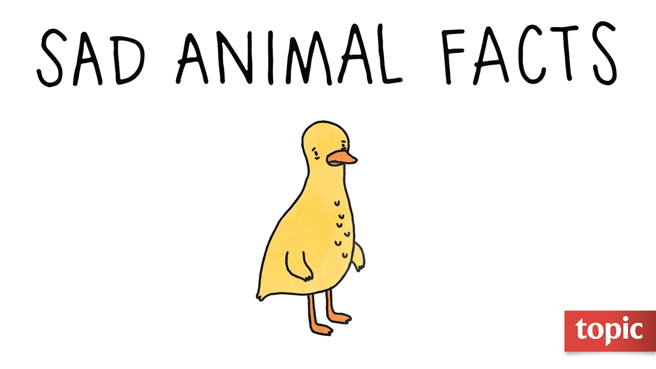 Sad Animal Facts Season 1