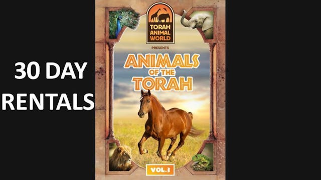 Animals of The Torah Vol. 3