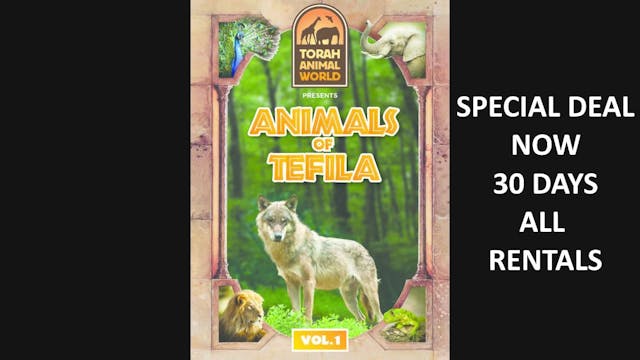 Animals of Tefila Vol. 1