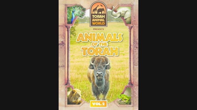 Animals Of The Torah Vol. 2
