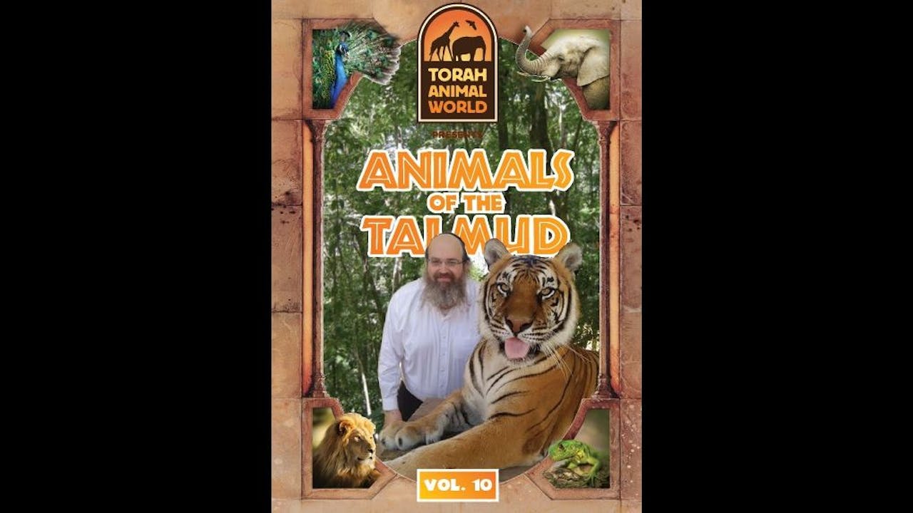 Animals of the Talmud Vol. 10 - Living Torah Museum Video Rentals
