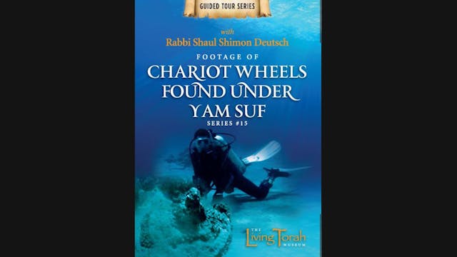 Footage of chariot wheels found under the Yam Suf