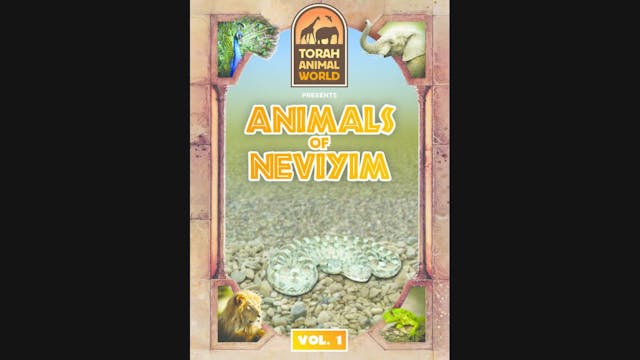 Animals of Neviyim