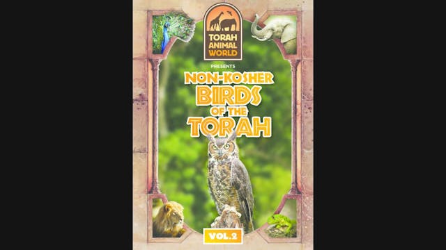 Non Kosher Birds of the Torah Vol .2