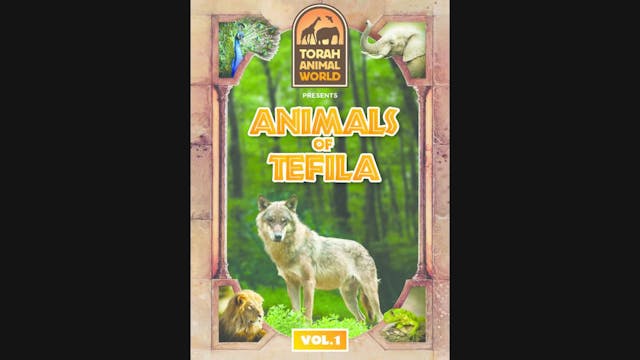 Animals of Tefila Vol. 1