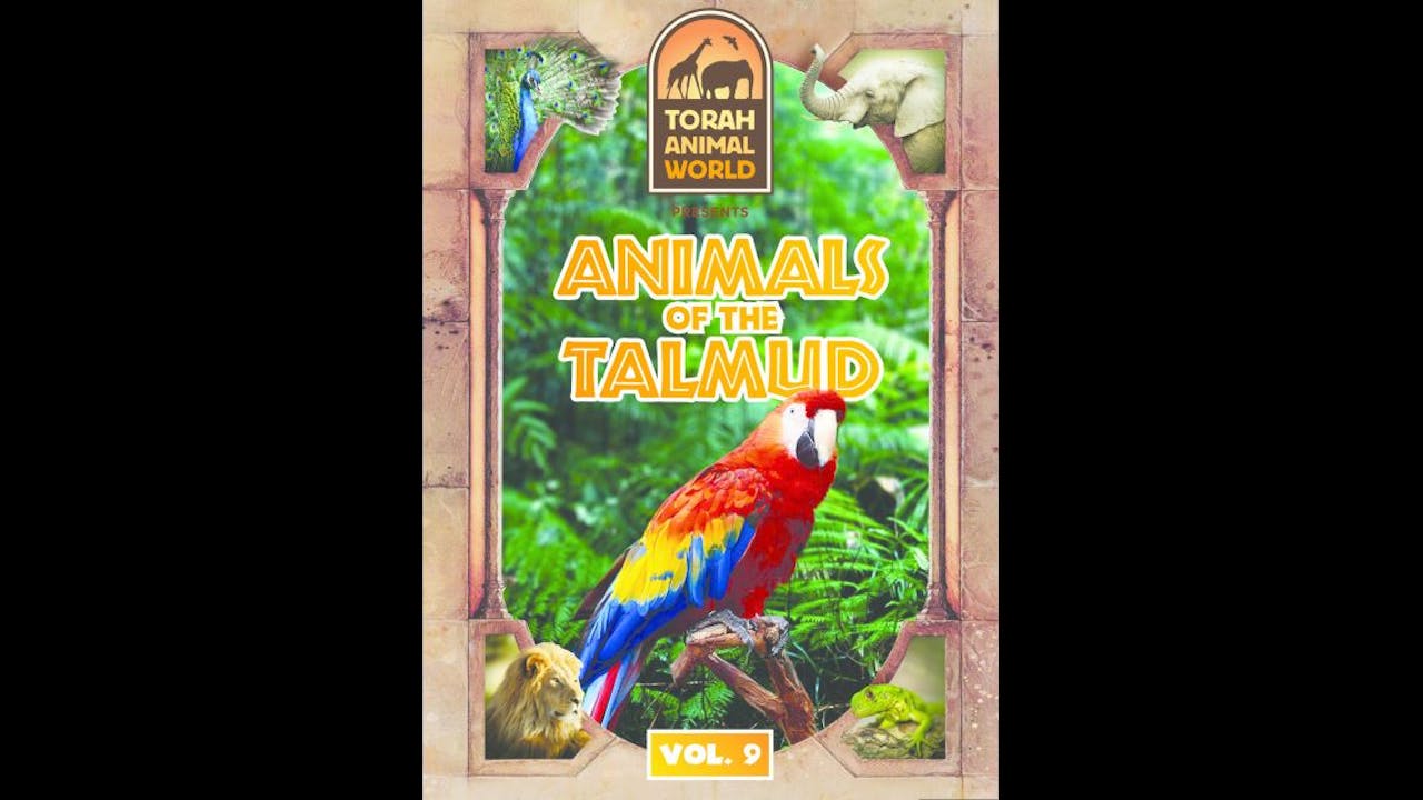 Animals of the Talmud Vol. 9