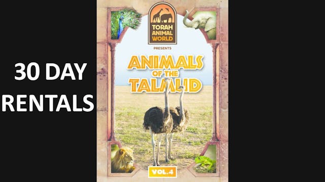Animals of the Talmud Vol. 4