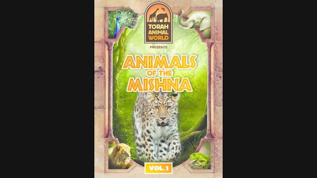 Animals of the Mishna Vol. 1 (ENGLISH)