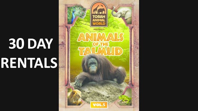 Animals of the Talmud Vol. 5