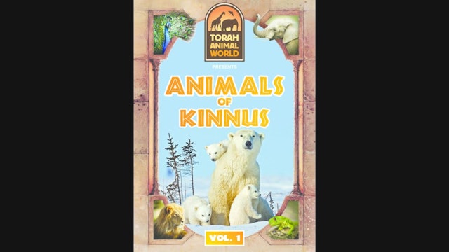 Animals of Kinnus 