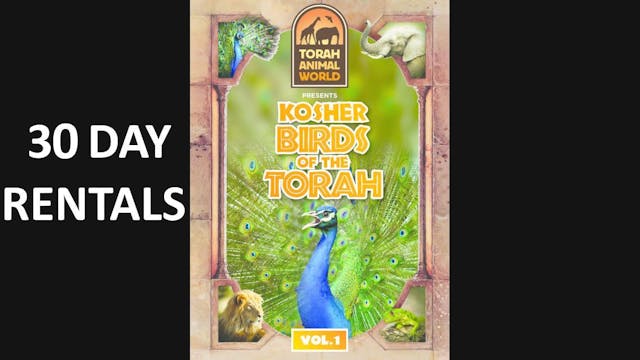 Kosher Birds of the Torah Vol. 1