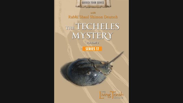 The Techeles Mystery Vol. 2