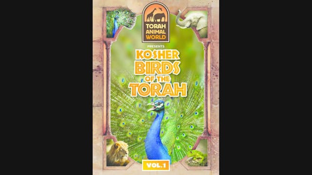 Kosher Birds of the Torah Vol. 1