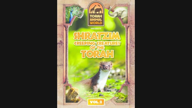Shratzim Creeping Creatures of the Torah Vol. 2