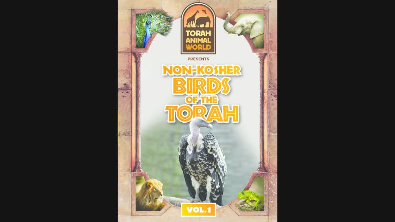 Non Kosher Birds of the Torah Vol. 1