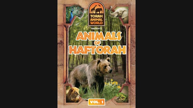 Animals of Haftorah 