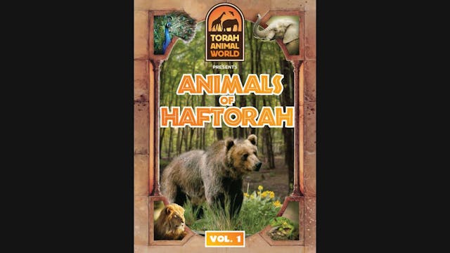 Animals of Haftorah