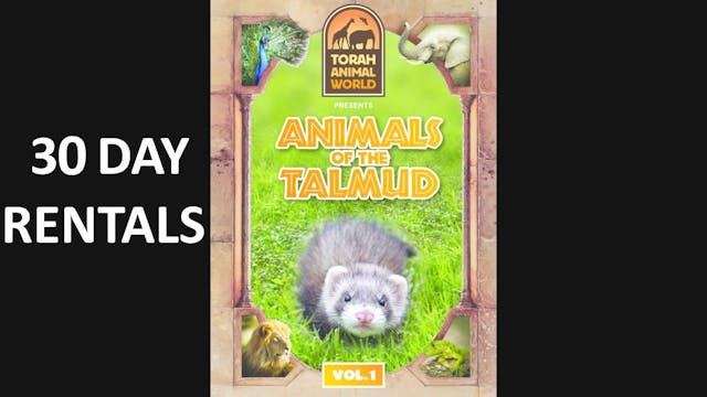 Animals of the Talmud Vol. 1