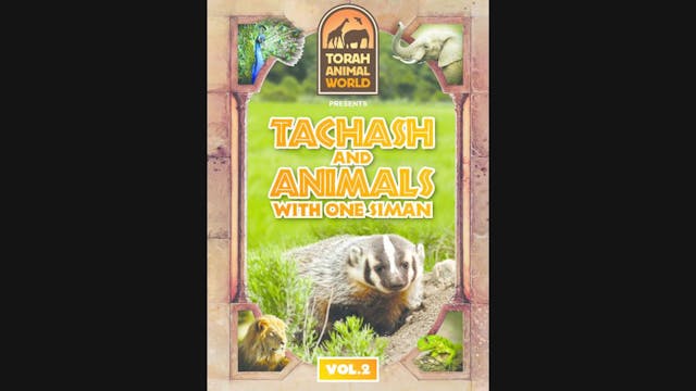 Tachash and Animals with one Siman Vol. 2
