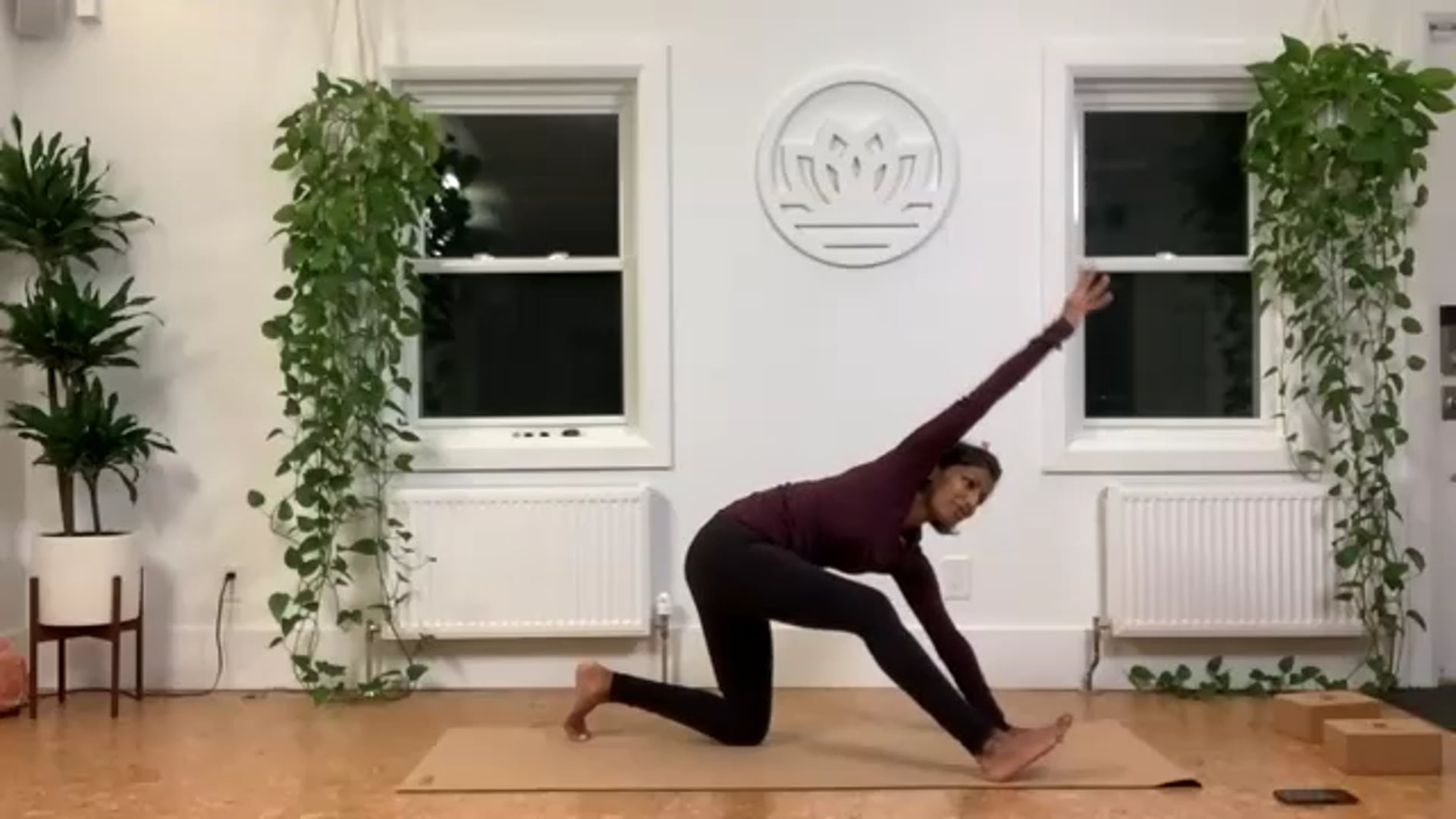 ZOOM: 20201119 - Vinyasa Flow with Caroline