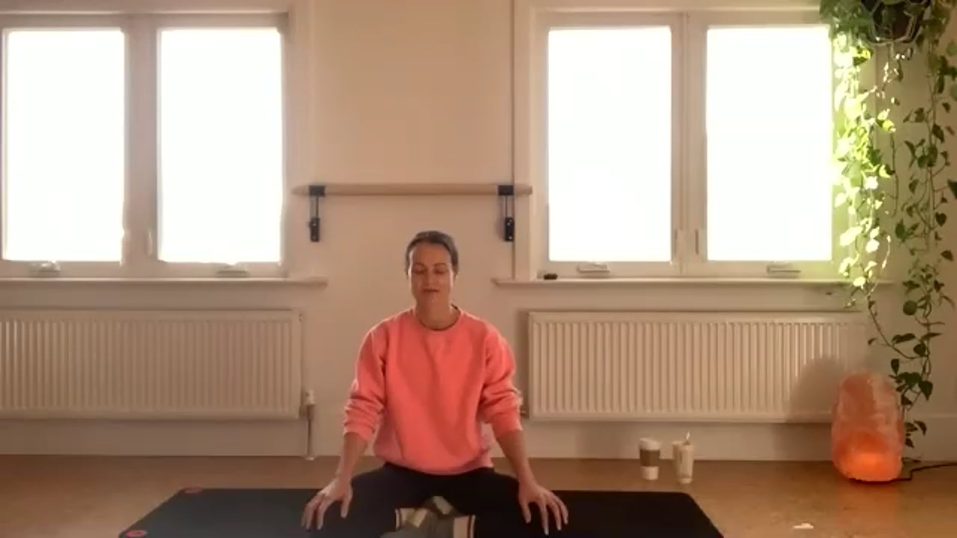 ZOOM: 20201112 - Mindful Hatha Flow with Stacy