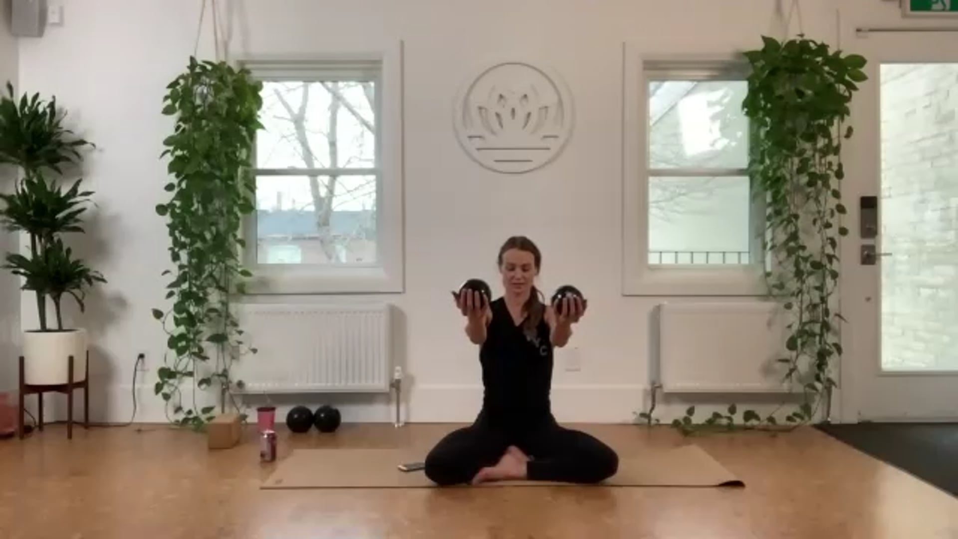 ZOOM: 20201125 - Mini Pilates Arms with Stacy